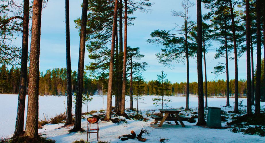 Zweden Winter Nieuw 7